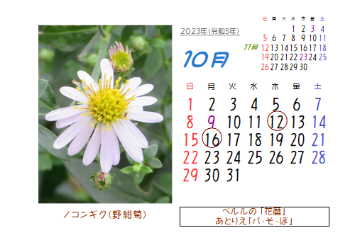 10月の花暦 Goo3