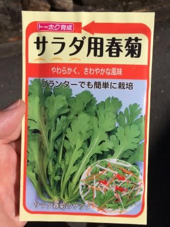 シュンギク サラダ用春菊 の栽培 Col S Blog