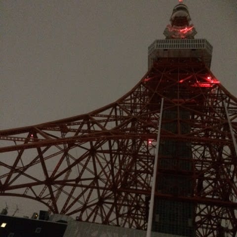 20160402_東京タワー_5.JPG