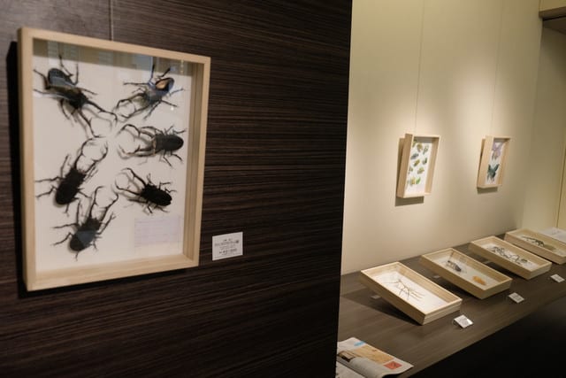 紙と鉄 ふたつのカタチ 佐藤隆之 浅井憲一 二人展 年8月5 11日 札幌 北海道美術ネット別館 紙と鉄 ふたつのカタチ 佐藤隆之 浅井憲一 二人展 年8月5 11日 札幌 北海道美術ネット別館