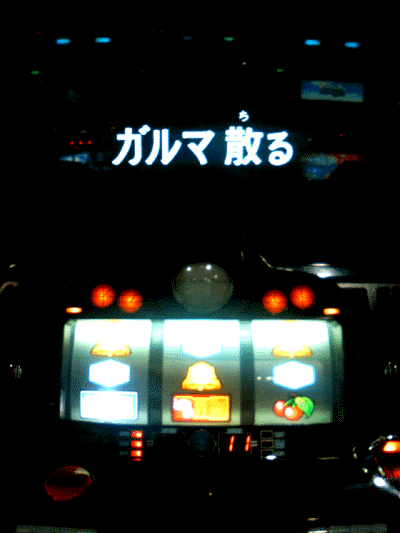 08年10月のブログ記事一覧 あおてん