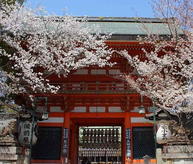 京都 １１桜 八坂神社 南楼門 京都 神楽坂 美味彩花