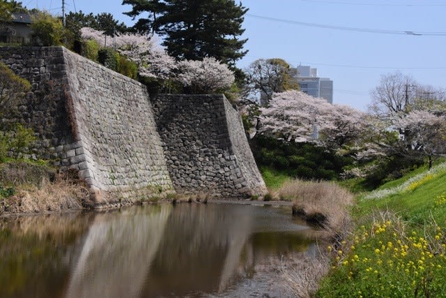 久留米篠山城の桜満開 康の新たな旅
