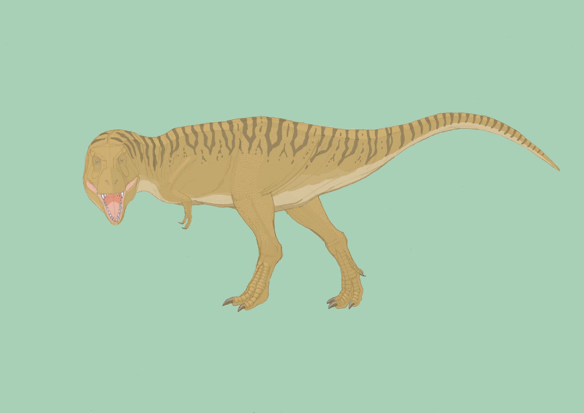ティラノサウルス ポーズ５ 肉食の系譜