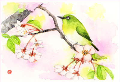 メジロと桜 おさんぽスケッチ にじいろアトリエ 水彩 色鉛筆イラスト スケッチ