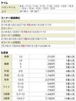 有馬記念の回顧⑥