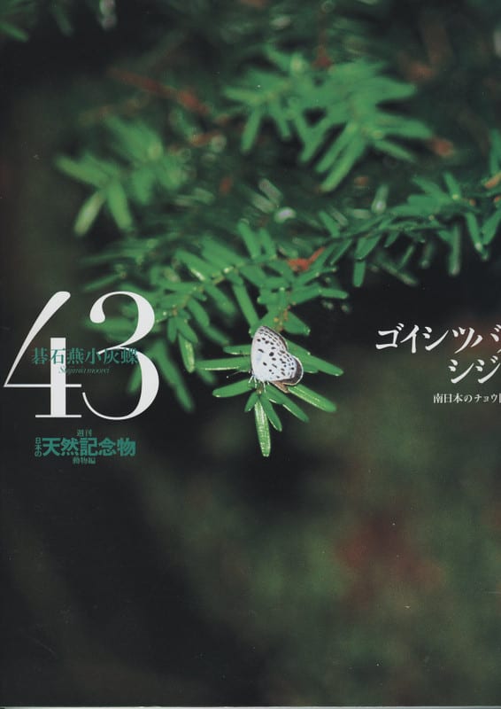 週刊日本の天然記念物・動物編43．ゴイシツバメシジミ - 人類学のススメ