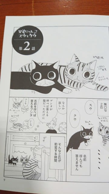 兄弟にゃんこスウとクウ くりた陸 マンガの中のネコ探し ネコマンガ データベース