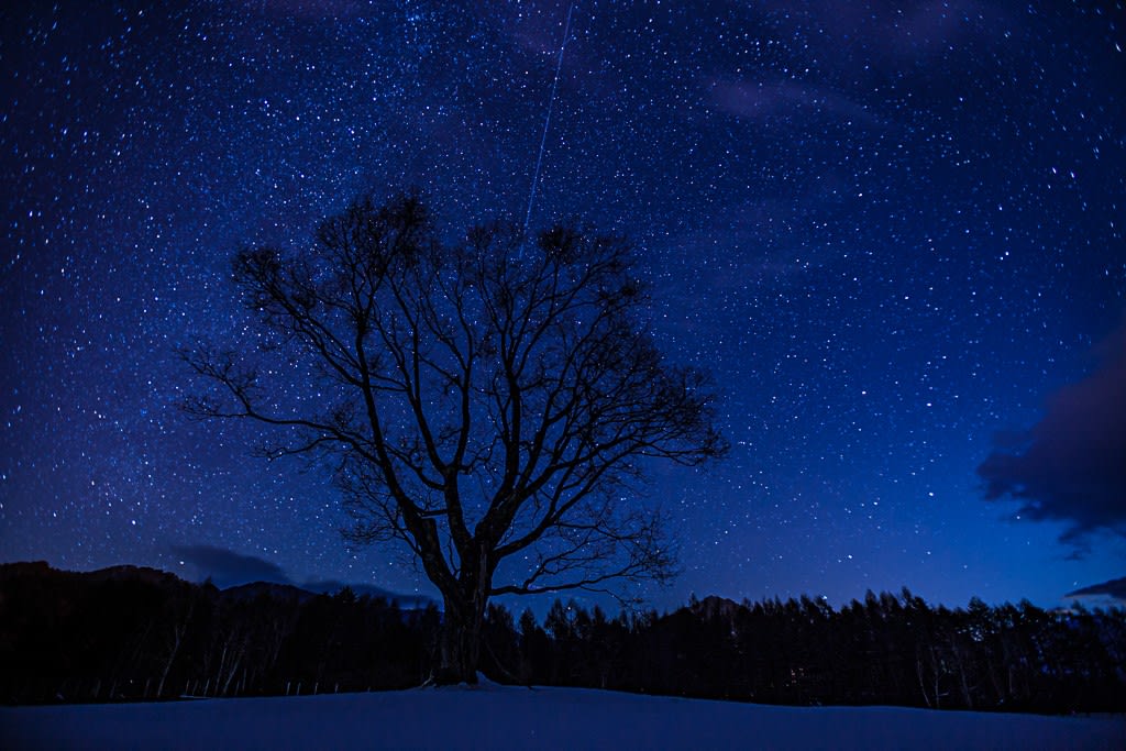 開田高原の星景写真