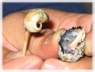 しったか わたし的 気持ち