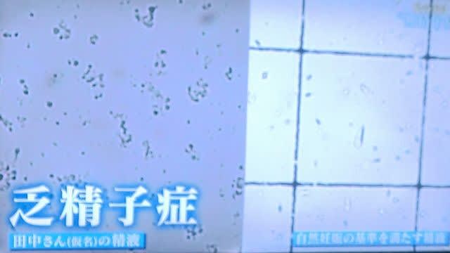 私の夫は 無精子症 慶喜 私の夫は 無精子症 慶喜
