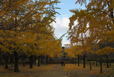 紅葉 北九州にて ひとりごと