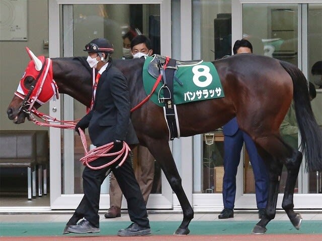 パンサラッサ 福島記念優勝キャップ - キャップ