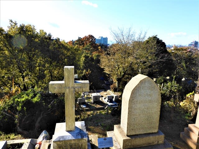 ２０２０ １２ １８ 横浜山手西洋館クリスマス２０２０ 今日のころころこころ