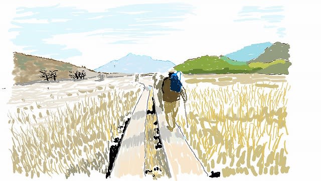 尾瀬の木道 イラスト サンズ トーク 尾瀬の木道 イラスト サンズ トーク
