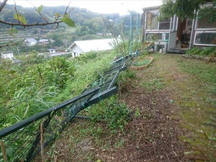 セカンドハウスの被害 シュシュといっしょに週末田舎暮らし