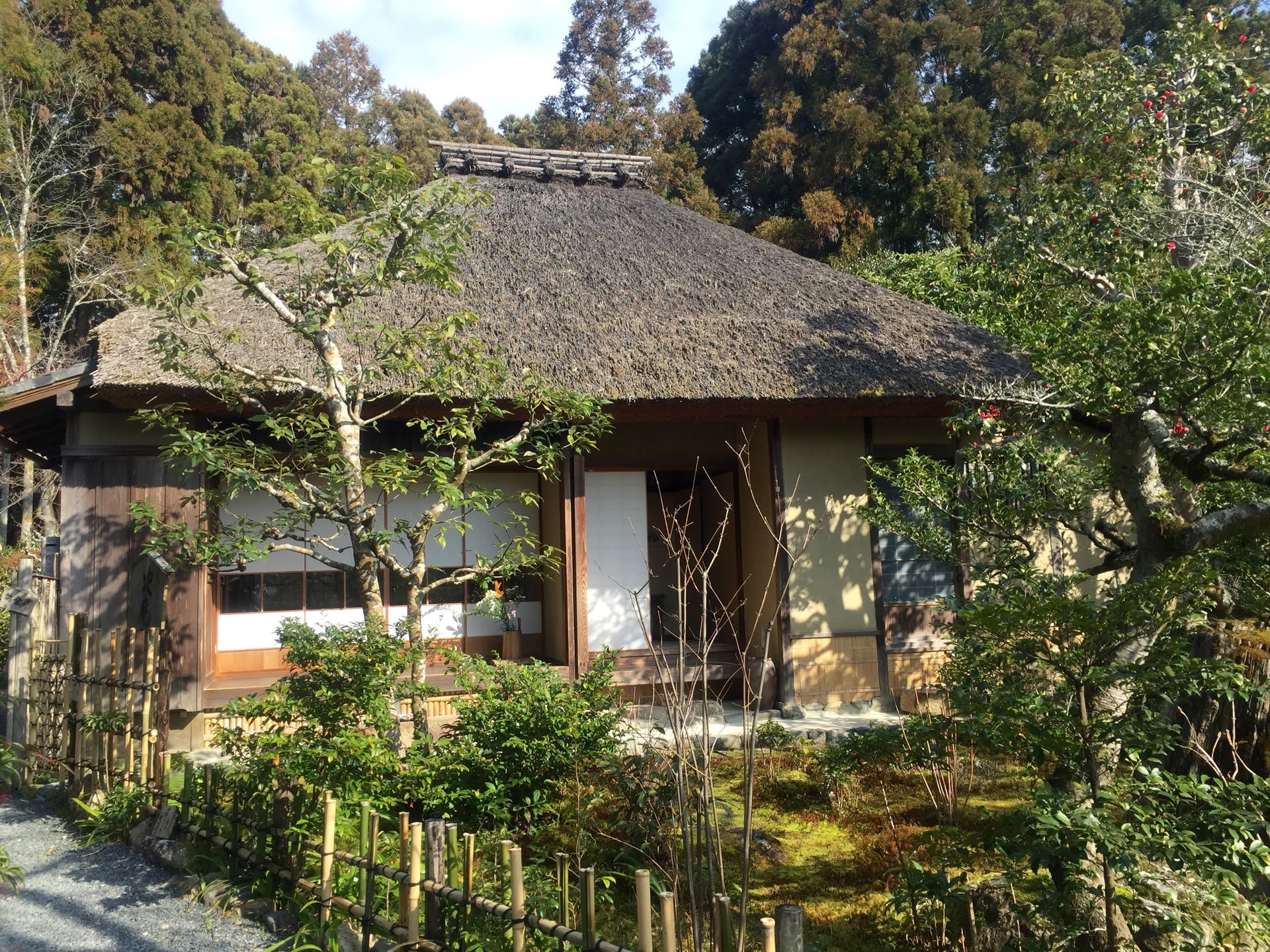 京都に行ってきました。 その1・・奥嵯峨野の画像