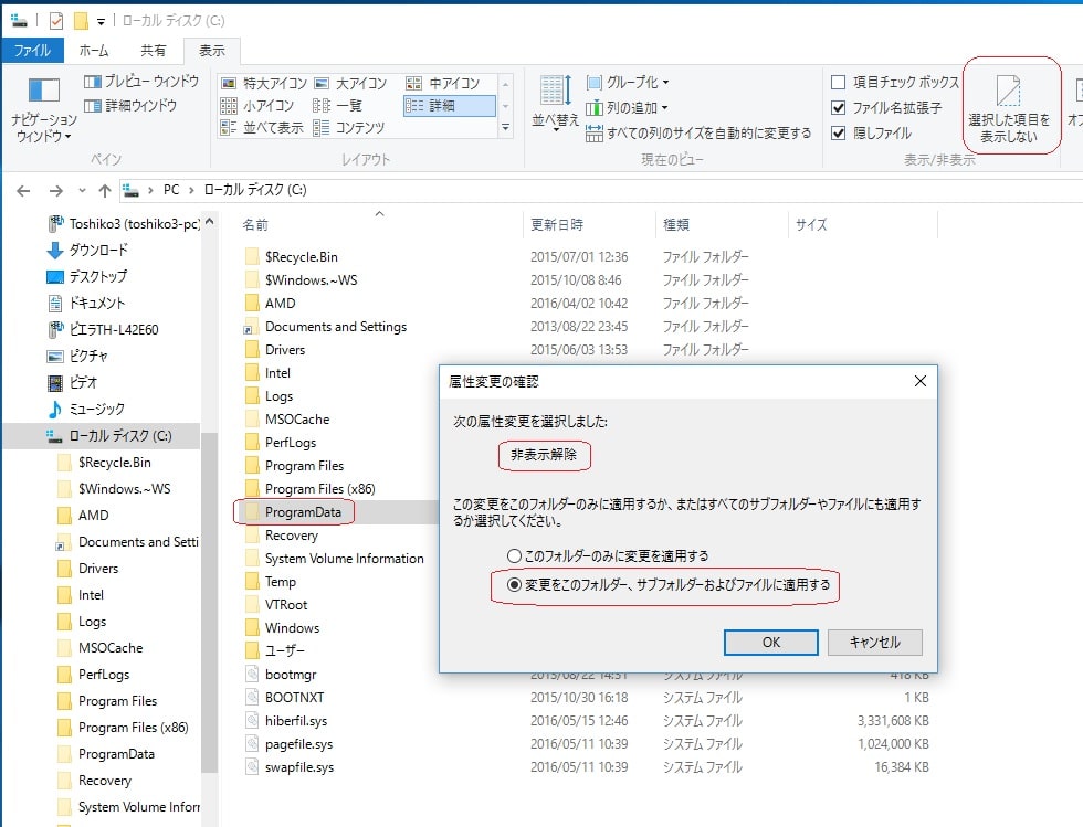 Windows10 で特定の隠しファイル フォルダー だけを見えるようにする方法 私のpc自作部屋