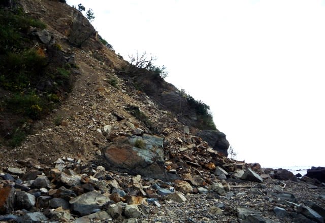 荒磯上方の「海食崖の土砂崩れ」
