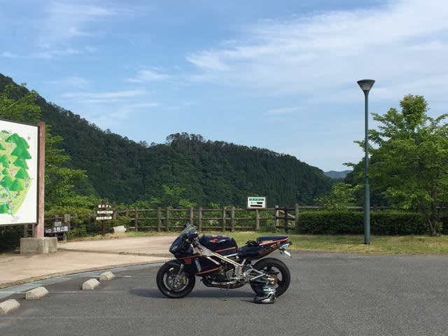 イメージ 7