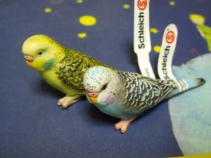 セキセイインコのフィギア 鳥バカ日記