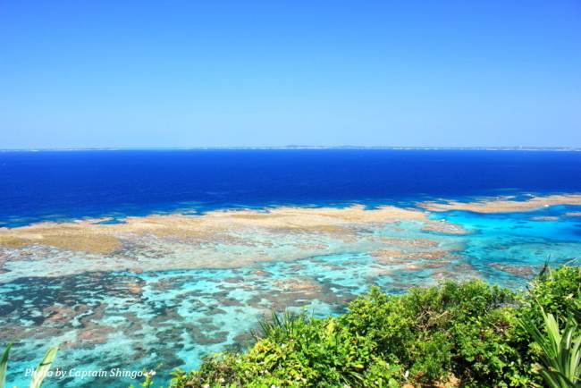青の洞窟とコーラルリーフ ゆうむつ船長の航海日記