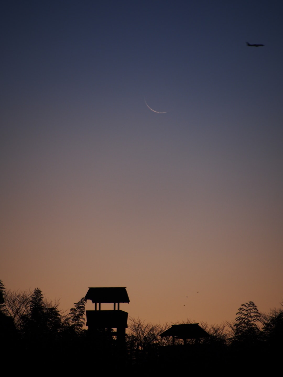 東条城の夜明けの画像