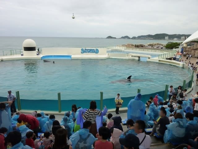 鴨川シーワールドへ その2 レオとの楽しい毎日 鴨川シーワールドへ その2 レオとの楽しい毎日