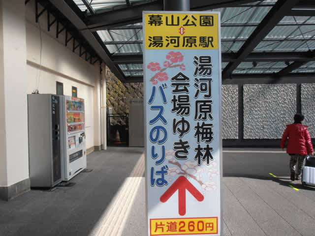 17年2月のブログ記事一覧 スポコミ 東京わくわく散歩