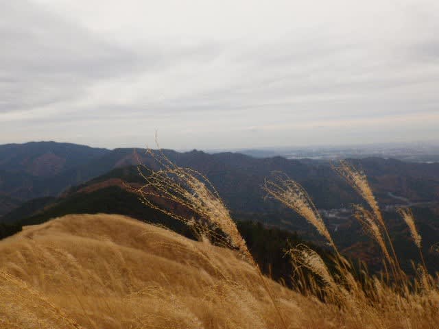 19年12月7日 土 ダイトレ 岩湧山 槙尾山 ともちゃんの のんびり登山教室