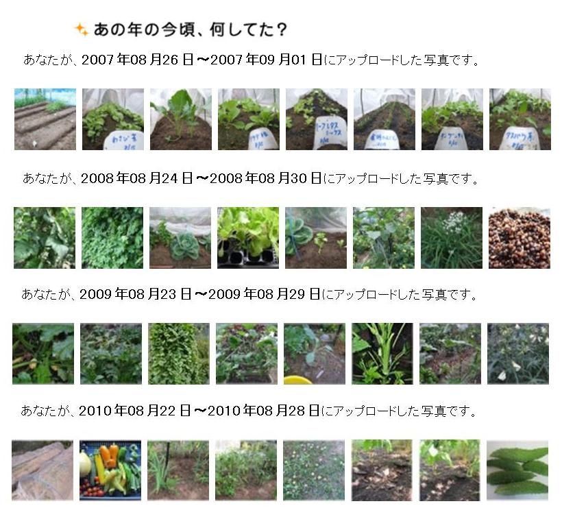 あの年今頃 2011年8月26日