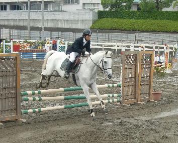 千葉県馬術大会パート2(JUMPING)・県民体育大会第2部 ...