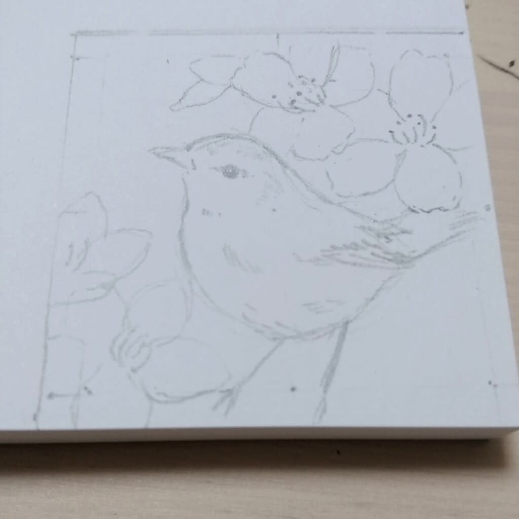 イラスト 桜とうぐいすのイラスト描きました ラクガキキャビン