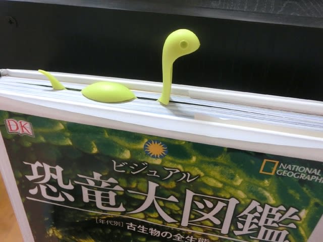 が おー 東京で陶芸体験 陶芸教室 森魚工房 練馬区大泉学園
