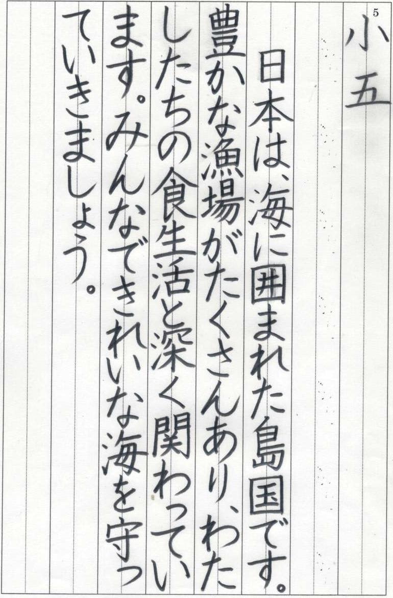 専用ページです 改訂版 令和7年埼玉県書き初め展覧会 小5