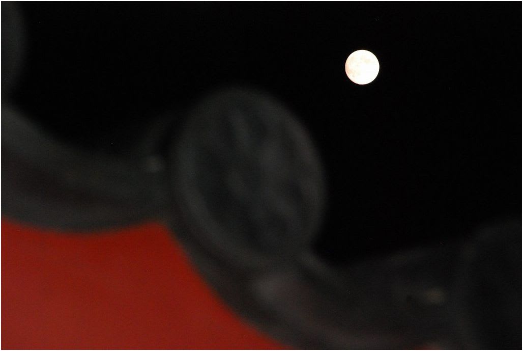 待宵月 四天王寺 大阪市 13 9月18日 ベゴさんのロッキング 待宵月 四天王寺 大阪市 13 9月18日 ベゴさんのロッキング