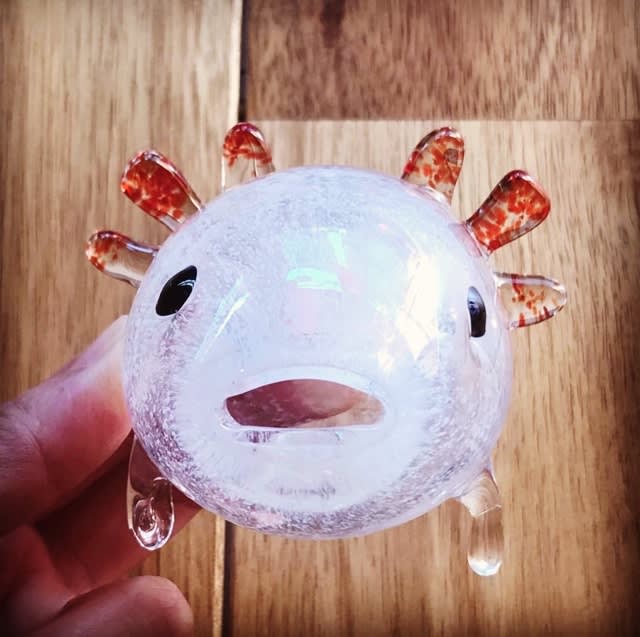 ウーパールーパー作りました 吹きガラスドロップの徒然ブログ ウーパールーパー作りました 吹きガラスドロップの徒然ブログ