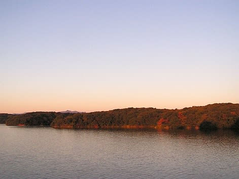 2010多摩湖・狭山湖紅葉情報