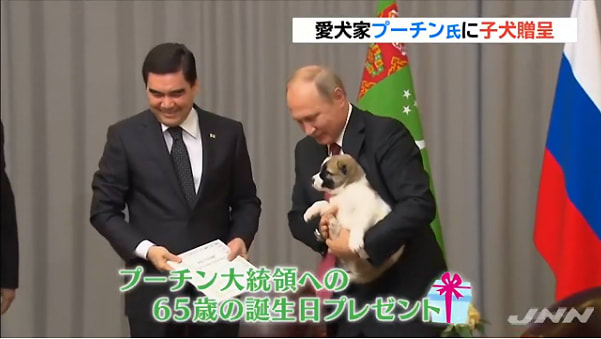 プーチン大統領に新たな犬をプレゼント 動物たちにぬくもりを