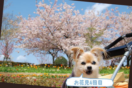 Dsc00295 Dsc00295