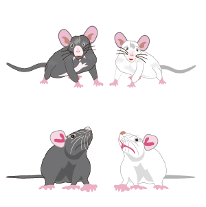 ネズミのキャラクターのイラストpng 季節のイラスト By クレコちゃん