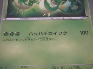 ポケモンカードゲームBW ローソンオリジナル カスタマイズジャンボカード 大幅値下げ】ポカブ ジャンボカード オリジナル カスタマイズ