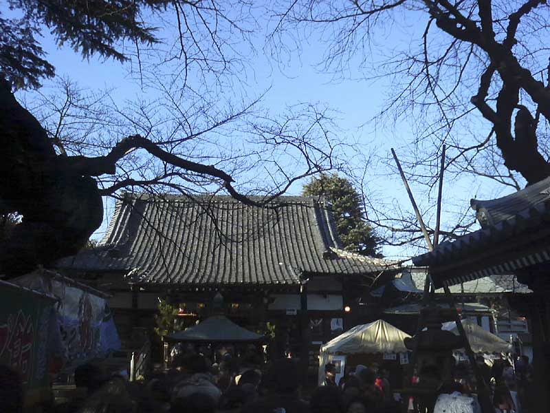 新井薬師に初詣 趣味の写真帳