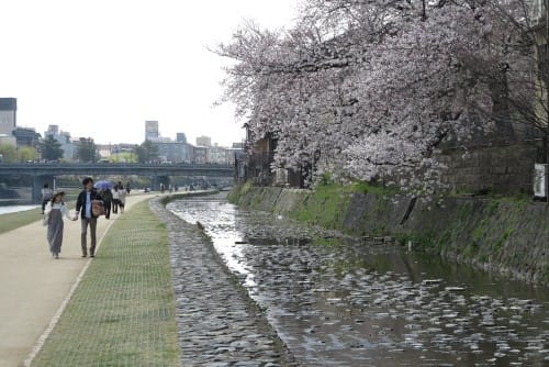 ヨドバシ京都 自転車 何階