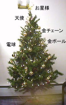 クリスマスツリーが我が家にやって来た 1996 12 3 Lovely London クリスマスツリーが我が家にやって来た 1996 12 3 Lovely London