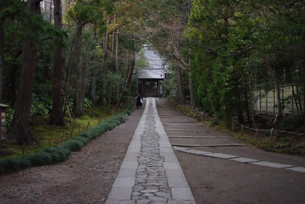 寺 鎌倉 寿福 初秋9月の寿福寺へ参拝してきた。寿福寺トンネルも紹介