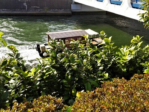 日本橋川 その３ 豊海橋 あなご または チンアナゴ おやじのつぶやき