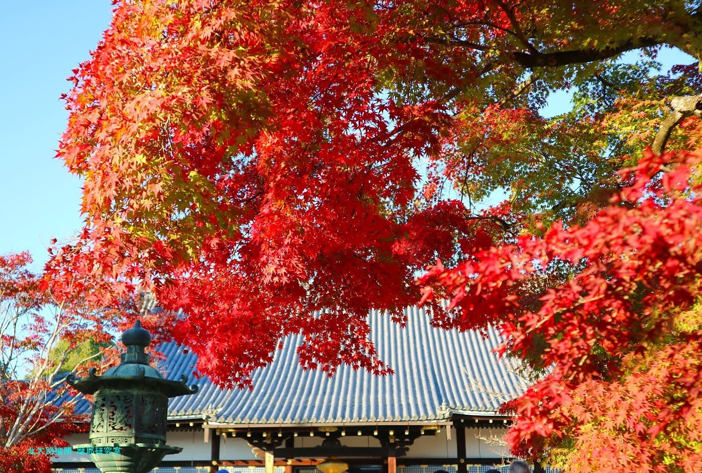 京都幕間旅情】仁和寺,中世から近世と云う信仰の時代と現代は正面から