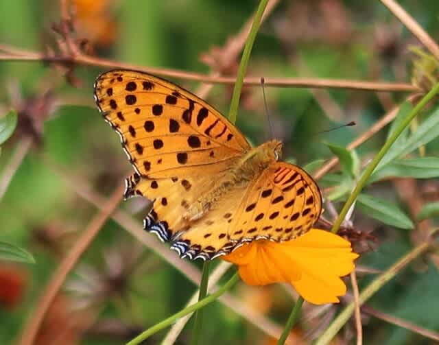 【お散歩】24/10/18 Say you just can’t live that negative way. You know what