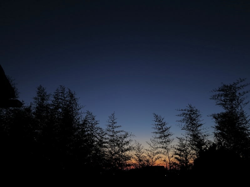 朝の明るさ 午後7時の明るさ 4月23日 光年 千年
